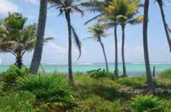 Costa Maya Paradise Lot