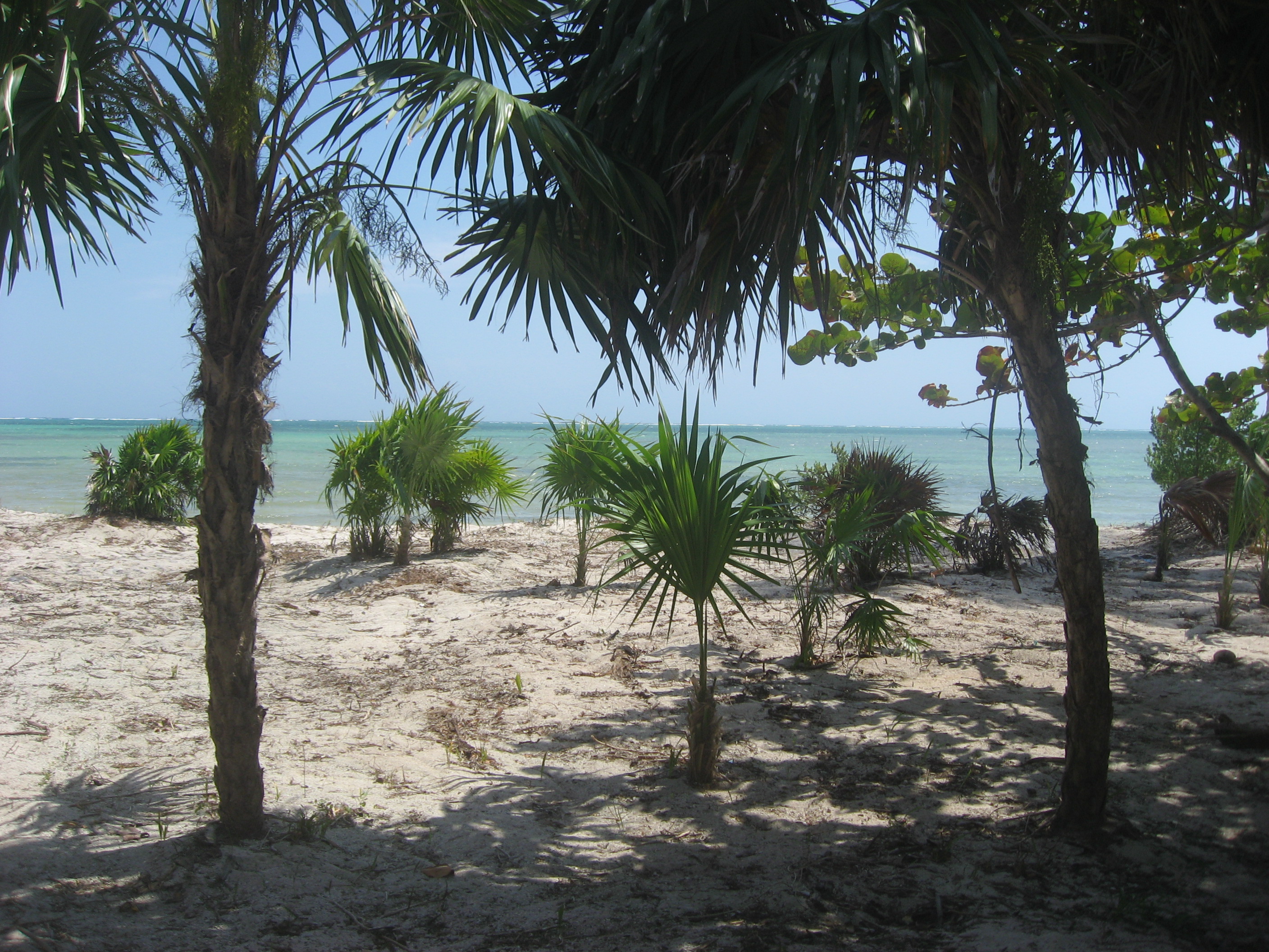 Costa Maya White Sands